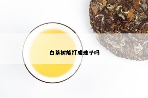 白茶树能打成珠子吗