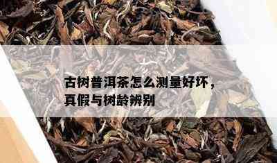 古树普洱茶怎么测量好坏，真假与树龄辨别