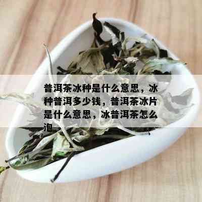 普洱茶冰种是什么意思，冰种普洱多少钱，普洱茶冰片是什么意思，冰普洱茶怎么泡