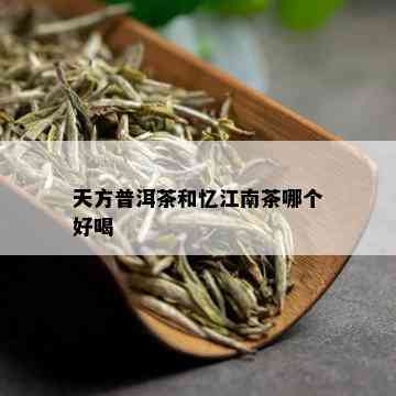 天方普洱茶和忆江南茶哪个好喝