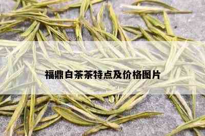 福鼎白茶茶特点及价格图片