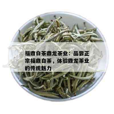 福鼎白茶鼎龙茶业：品尝正宗福鼎白茶，体验鼎龙茶业的传统魅力