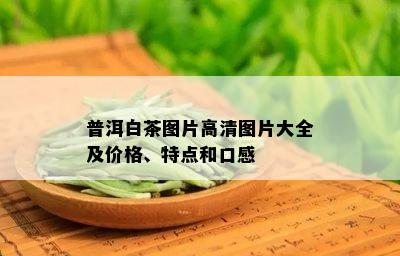 普洱白茶图片高清图片大全及价格、特点和口感