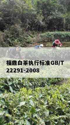 福鼎白茶执行标准GB/T22291-2008