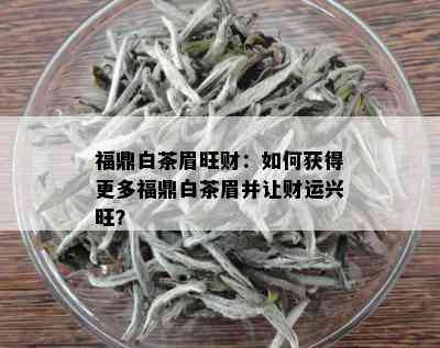 福鼎白茶眉旺财：如何获得更多福鼎白茶眉并让财运兴旺？