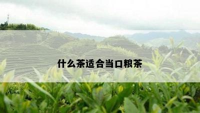 什么茶适合当口粮茶