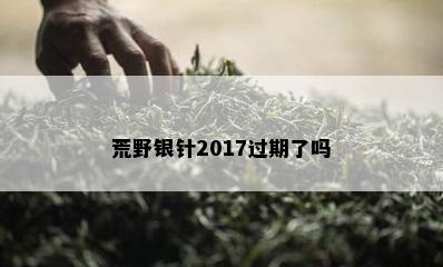 荒野银针2017过期了吗