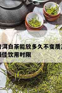 普洱白茶能放多久不变质及更佳饮用时限