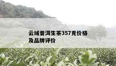 云域普洱生茶357克价格及品牌评价