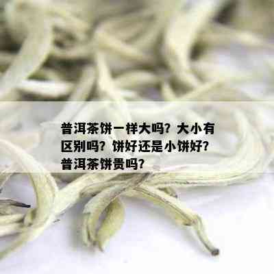 普洱茶饼一样大吗？大小有区别吗？饼好还是小饼好？普洱茶饼贵吗？