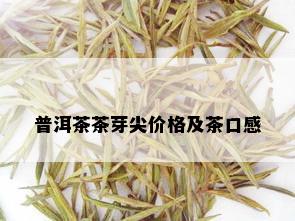 普洱茶茶芽尖价格及茶口感