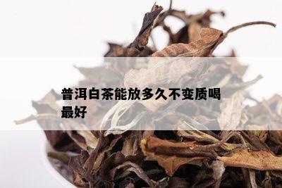 普洱白茶能放多久不变质喝更好