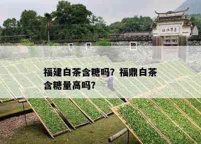 福建白茶含糖吗？福鼎白茶含糖量高吗？