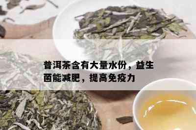 普洱茶含有大量水份，益生菌能减肥，提高免疫力