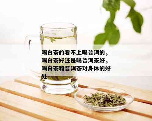 喝白茶的看不上喝普洱的，喝白茶好还是喝普洱茶好，喝白茶和普洱茶对身体的好处