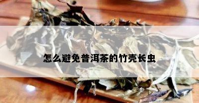 怎么避免普洱茶的竹壳长虫