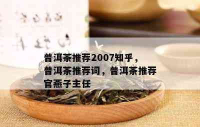 普洱茶推荐2007知乎，普洱茶推荐词，普洱茶推荐官燕子主任