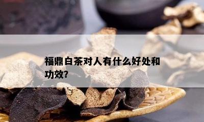 福鼎白茶对人有什么好处和功效？