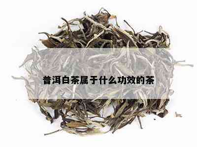 普洱白茶属于什么功效的茶