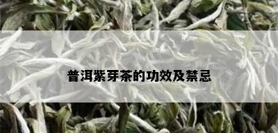 普洱紫芽茶的功效及禁忌