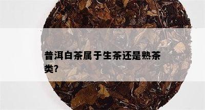 普洱白茶属于生茶还是熟茶类？