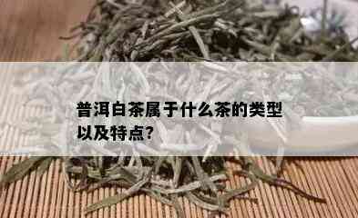 普洱白茶属于什么茶的类型以及特点?