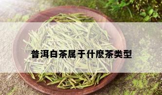 普洱白茶属于什麽茶类型