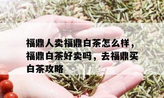 福鼎人卖福鼎白茶怎么样，福鼎白茶好卖吗，去福鼎买白茶攻略