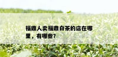 福鼎人卖福鼎白茶的店在哪里，有哪些？