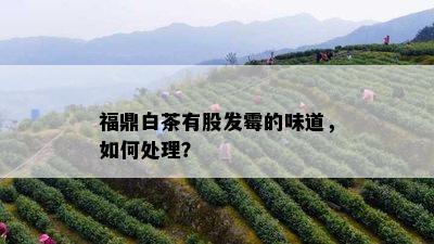 福鼎白茶有股发霉的味道，如何处理？