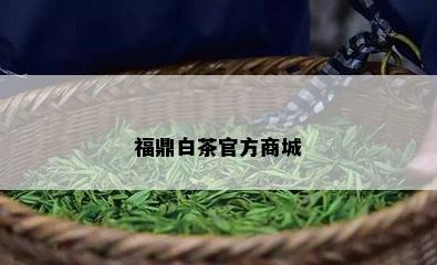 福鼎白茶官方商城