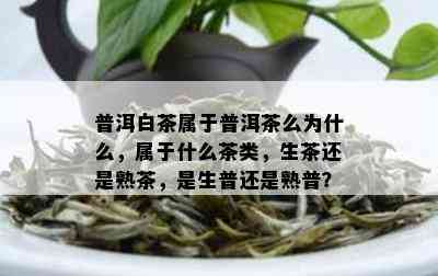 普洱白茶属于普洱茶么为什么，属于什么茶类，生茶还是熟茶，是生普还是熟普？