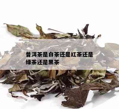 普洱茶是白茶还是红茶还是绿茶还是黑茶