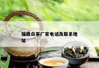 福鼎白茶厂家电话及联系地址