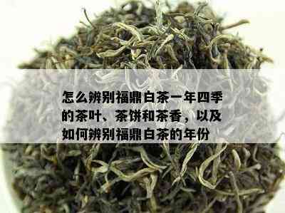 怎么辨别福鼎白茶一年四季的茶叶、茶饼和茶香，以及如何辨别福鼎白茶的年份