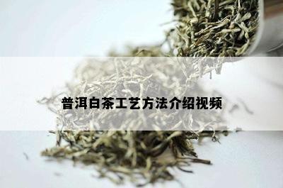 普洱白茶工艺方法介绍视频