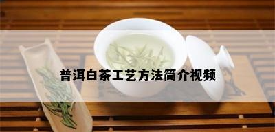 普洱白茶工艺方法简介视频