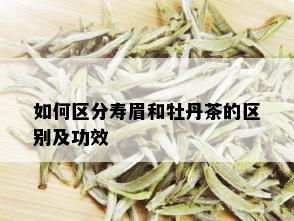 如何区分寿眉和牡丹茶的区别及功效