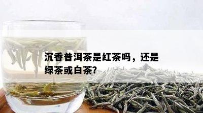 沉香普洱茶是红茶吗，还是绿茶或白茶？