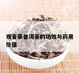 观音草普洱茶的功效与药用价值