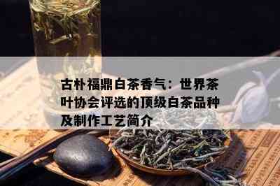 古朴福鼎白茶香气：世界茶叶协会评选的顶级白茶品种及制作工艺简介