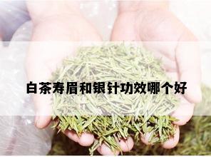 白茶寿眉和银针功效哪个好