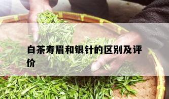 白茶寿眉和银针的区别及评价