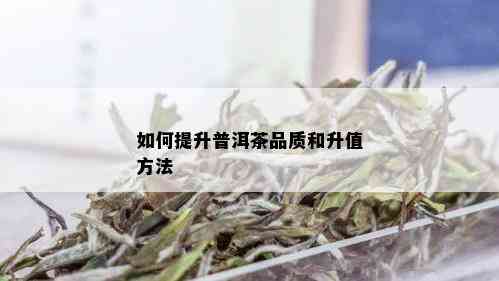 如何提升普洱茶品质和升值方法