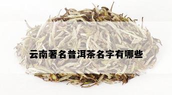 云南著名普洱茶名字有哪些