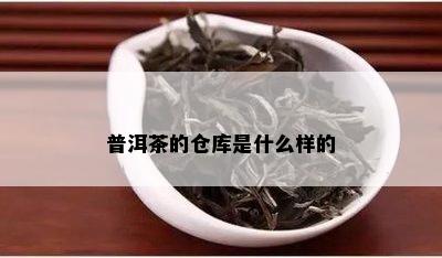 普洱茶的仓库是什么样的