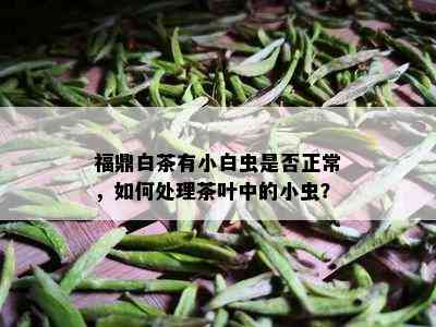 福鼎白茶有小白虫是否正常，如何处理茶叶中的小虫？