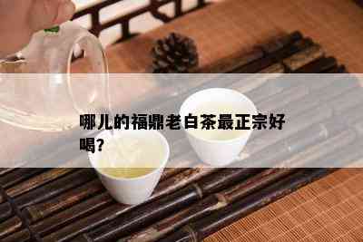 哪儿的福鼎老白茶最正宗好喝？