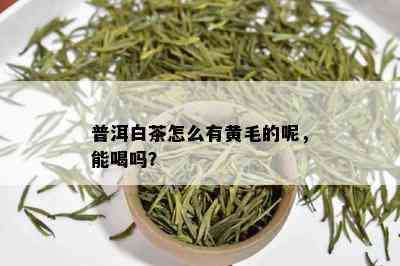 普洱白茶怎么有黄毛的呢，能喝吗？