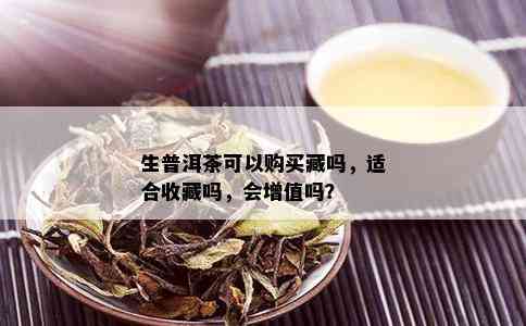 生普洱茶可以购买藏吗，适合收藏吗，会增值吗？